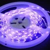 HobbyPartz Purple 120 LED Lights 79P-10214