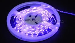HobbyPartz Purple 240 LED Lights 79P-10222